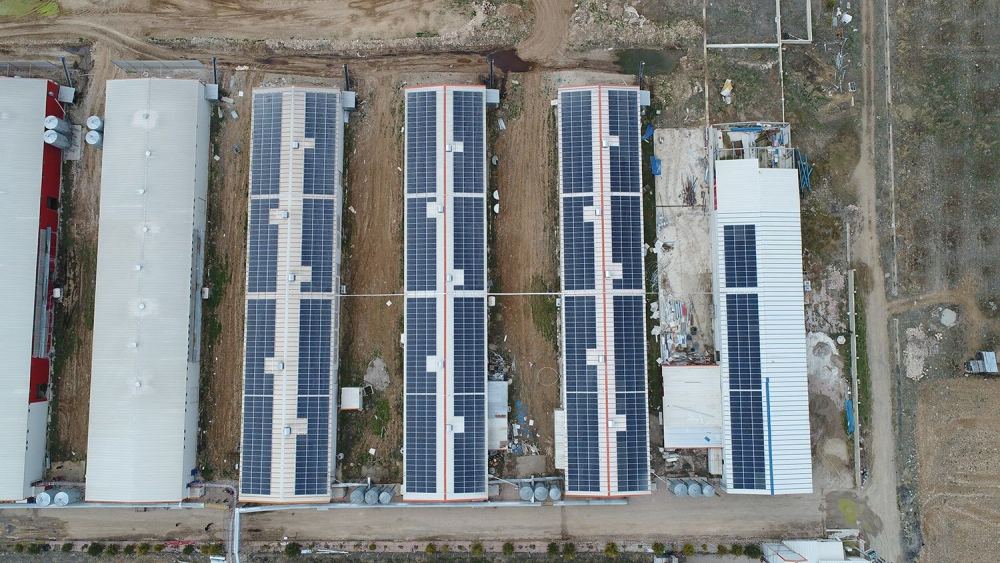 Konya - Çetinkaya Poultry Farming 574 kWp - Rooftop Solar Power Plant