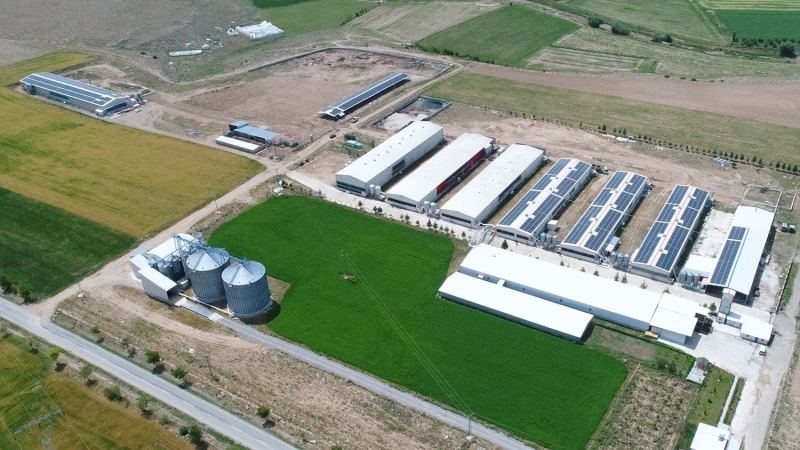 Konya - Çetinkaya Poultry Farming 524 kWp 2022 Additional Investment Rooftop Solar Power Plant