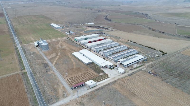 Konya - Çetinkaya Poultry Farming 574 kWp - Rooftop Solar Power Plant