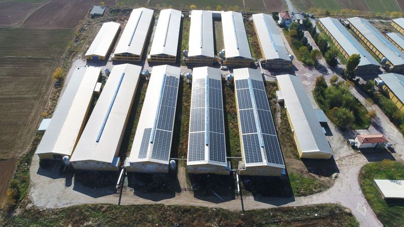 Konya - Atak Poultry Farming - 592 kWp Rooftop Solar Power Plant